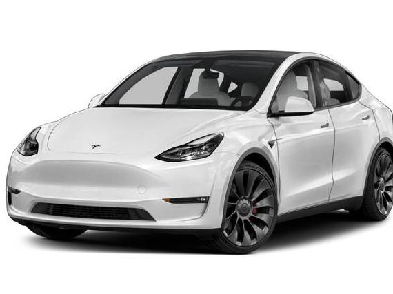 TESLA MODEL Y 2021 5YJYGDEE2MF075493 image
